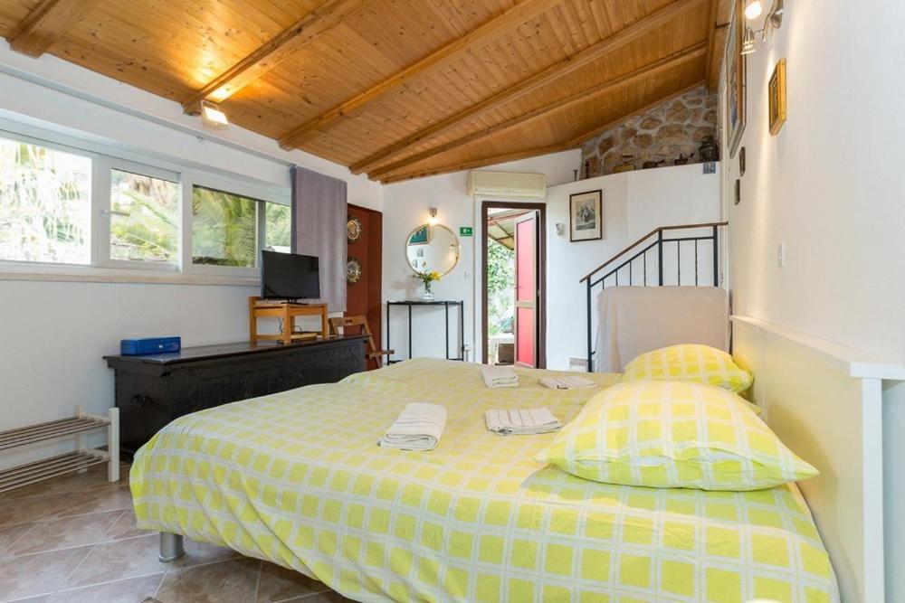 Apartments Kalas ドゥブロブニク エクステリア 写真